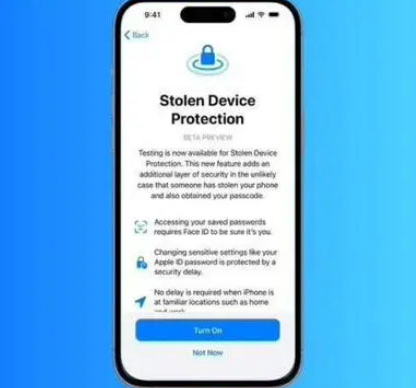 建宁苹果授权维修店分享被盗设备保护功能开启方法 