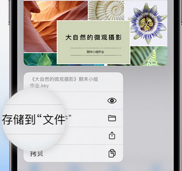 建宁apple维修中心分享iPhone文件应用中存储和找到下载文件