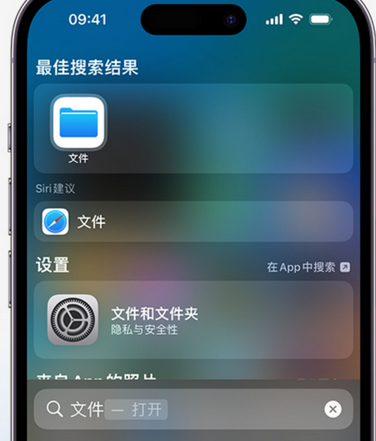 建宁apple维修中心分享iPhone文件应用中存储和找到下载文件