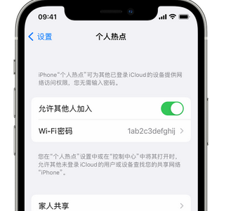 建宁apple服务站点分享iPhone上个人热点丢失了怎么办 