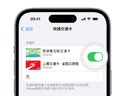 建宁apple维修点分享iPhone上更换Apple Pay快捷交通卡手绘卡面 