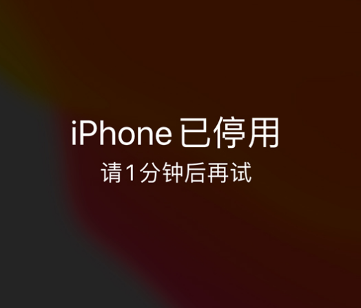 建宁苹果手机维修分享:iPhone 显示“不可用”或“已停用”怎么办？还能保留数据吗？ 