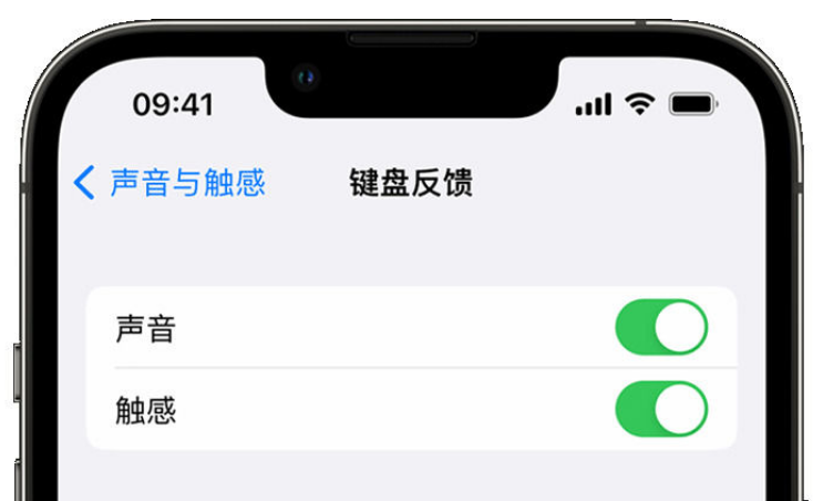 建宁苹果手机维修分享iPhone 14触感键盘使用方法 