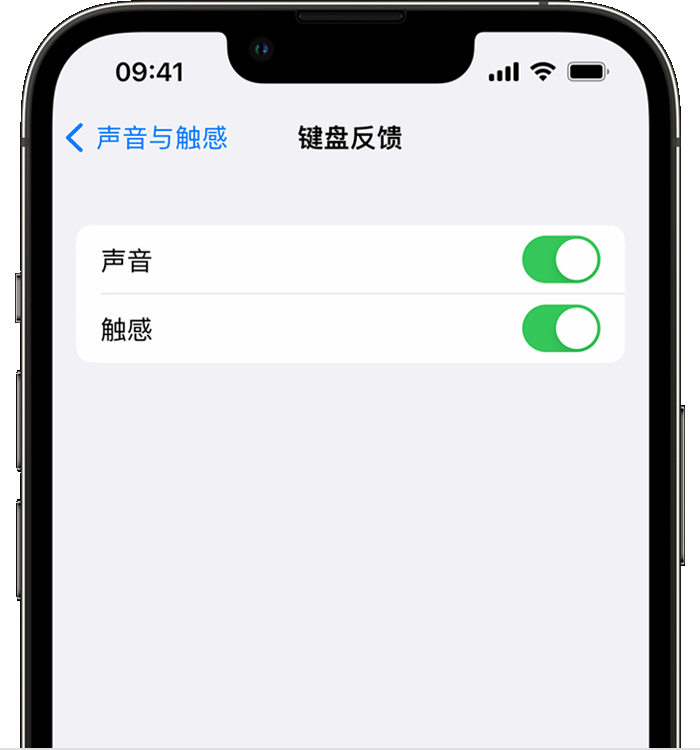 建宁苹果14维修店分享如何在 iPhone 14 机型中使用触感键盘 