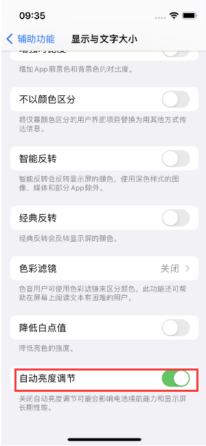 建宁苹果15维修店分享iPhone 15 Pro系列屏幕亮度 