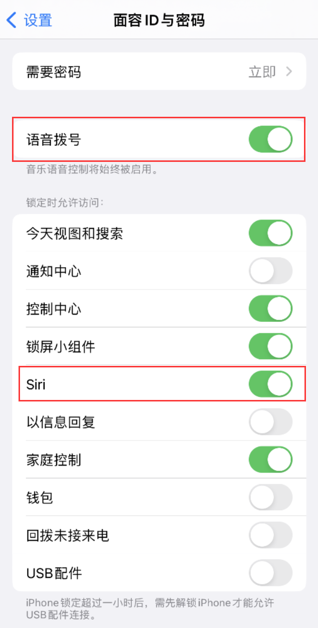 建宁苹果维修网点分享不解锁 iPhone 的情况下通过 Siri 拨打电话的方法 