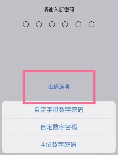 建宁苹果14维修分享iPhone 14plus设置密码的方法 