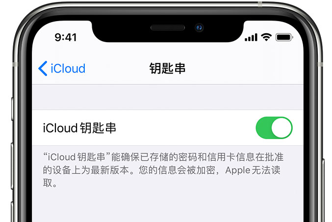 建宁苹果手机维修分享在 iPhone 上开启 iCloud 钥匙串之后会储存哪些信息 