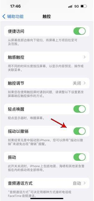 建宁苹果手机维修分享iPhone手机如何设置摇一摇删除文字 